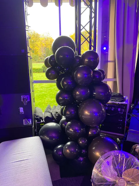 Elegancka dekoracja balonowa w odcieniach czerni, srebra i fioletu, znajdująca się w sali Belvedere z oknami na ogród. Oświetlenie i meble dodają wnętrzu luksusowego charakteru