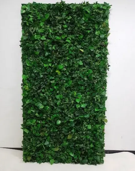 Panel bluszczowy